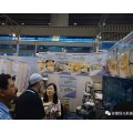 Exhibition Pictures